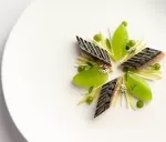 Gastronomic stay in an Executive Suite