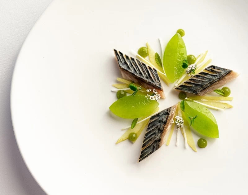 Gastronomic stay in an Executive Suite